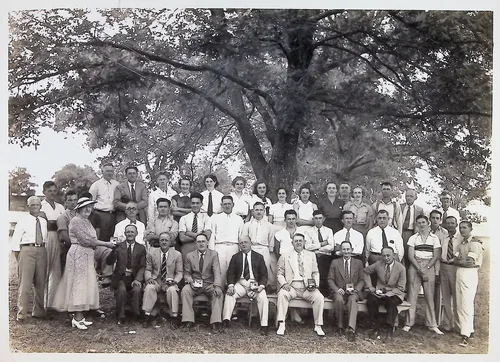 Large group under tree (variant) — Black-and-white photo of a large outdoor gathering posed beneath a big tree, with men in light trousers, ties, and suits plus a few women; many seated front-row members hold mugs. Appears to be a second exposure of the same reunion as p011. No text visible.